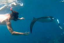 um-manta-snorkel