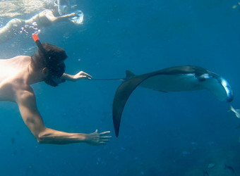 um-manta-snorkel